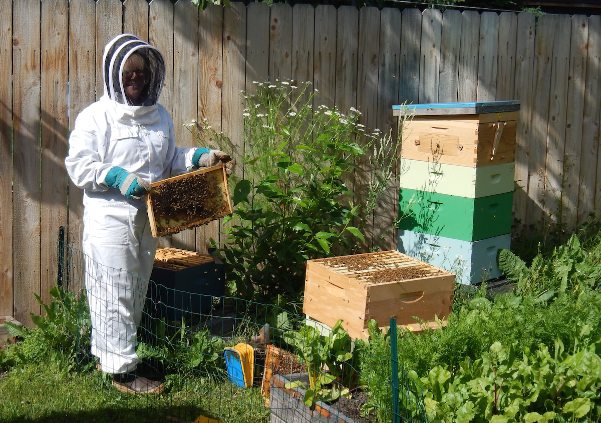 Meet this 7-year-old beekeeper whose passion for her hobby matches