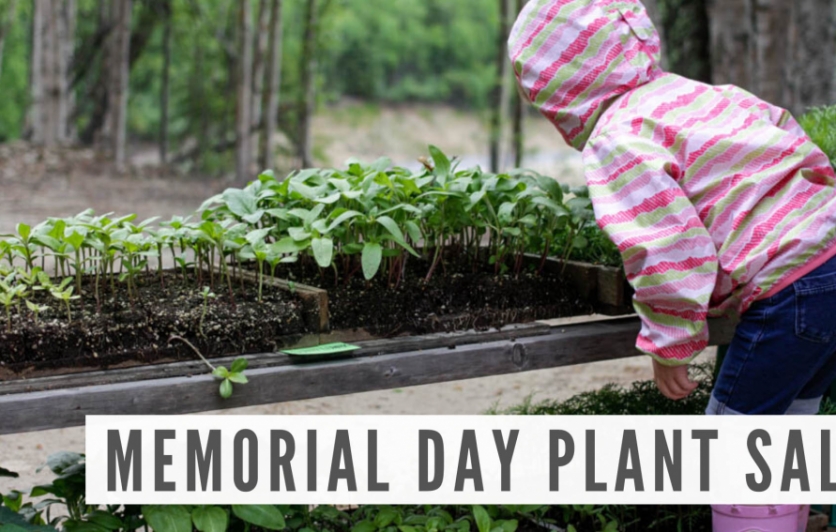 Memorial Day Plant Sale