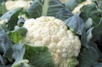 cauliflower-1465732_1920.jpg