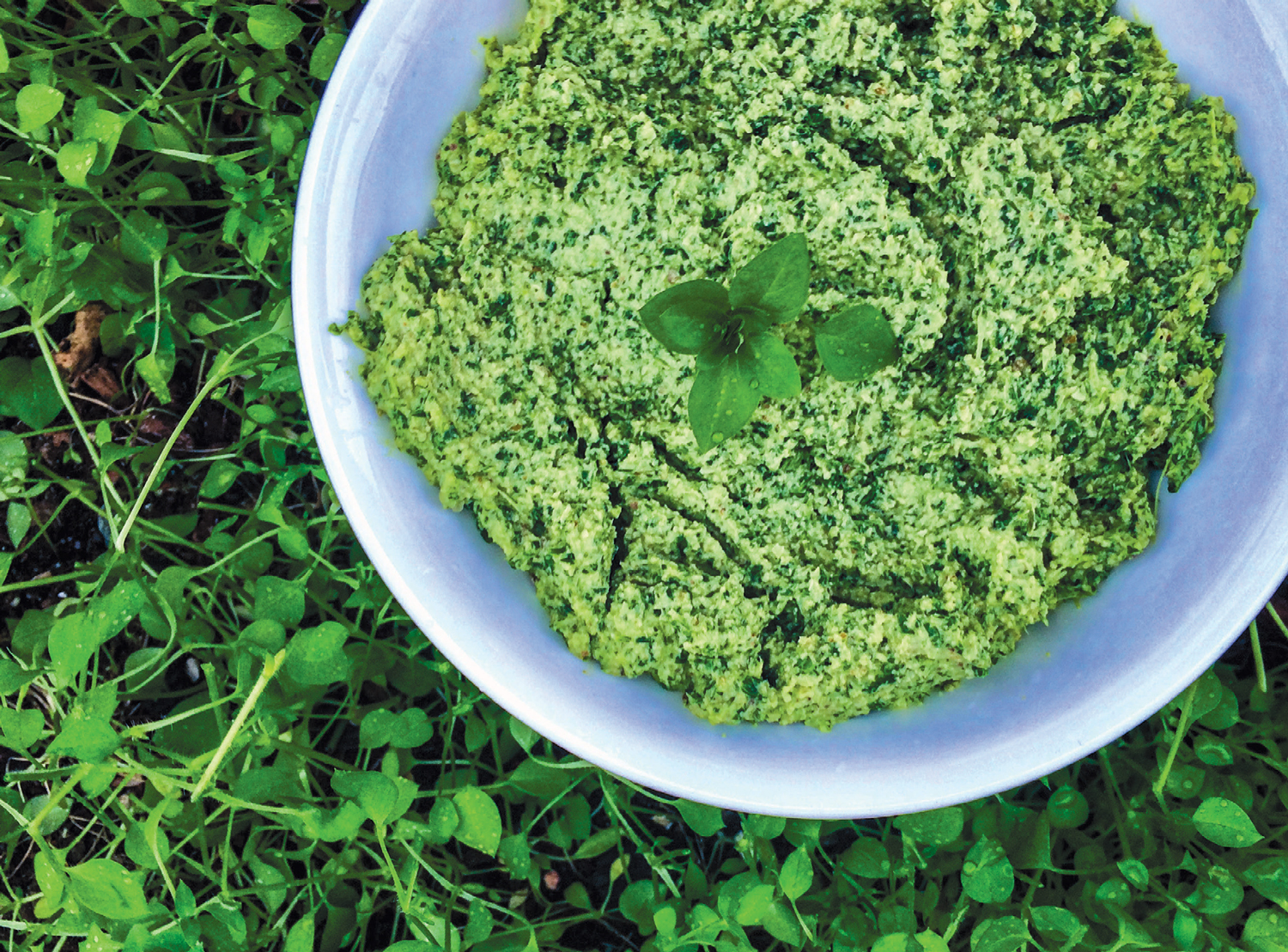 creamy-dreamy-chickweed-machine-1.jpg