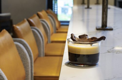 Edible Alaska Mushroom4 (1)