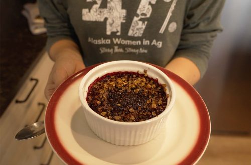 berry-pudding