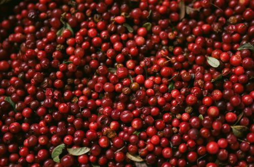 lingonberry-chutney