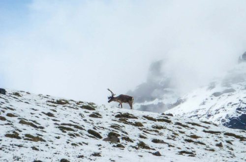 taste-home-hospital-hero